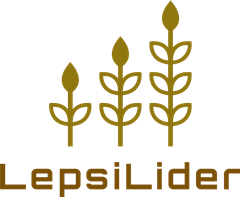 Lepší líder